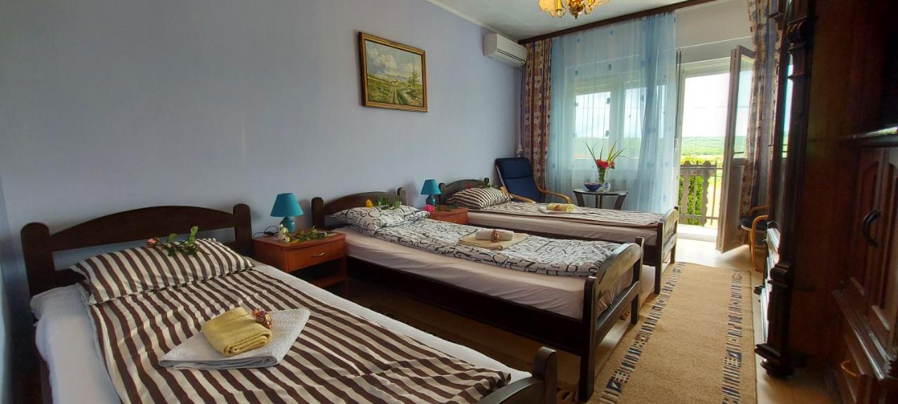 Guest House Dunavski Raj Kostol 外观 照片