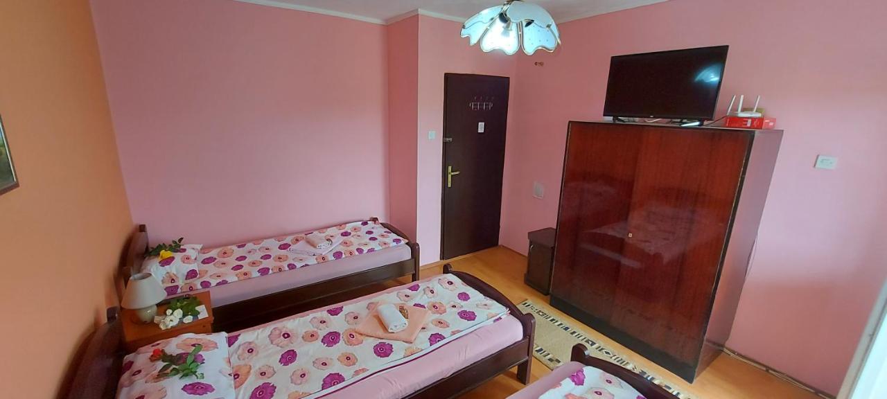 Guest House Dunavski Raj Kostol 外观 照片