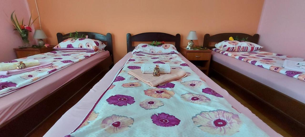 Guest House Dunavski Raj Kostol 外观 照片