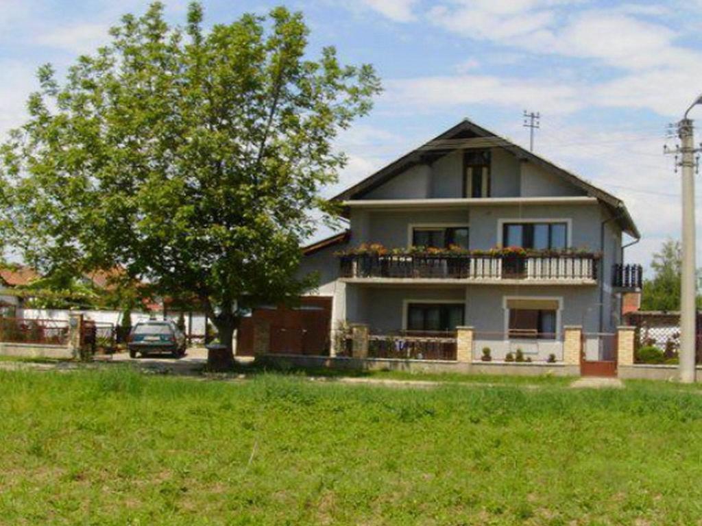 Guest House Dunavski Raj Kostol 外观 照片