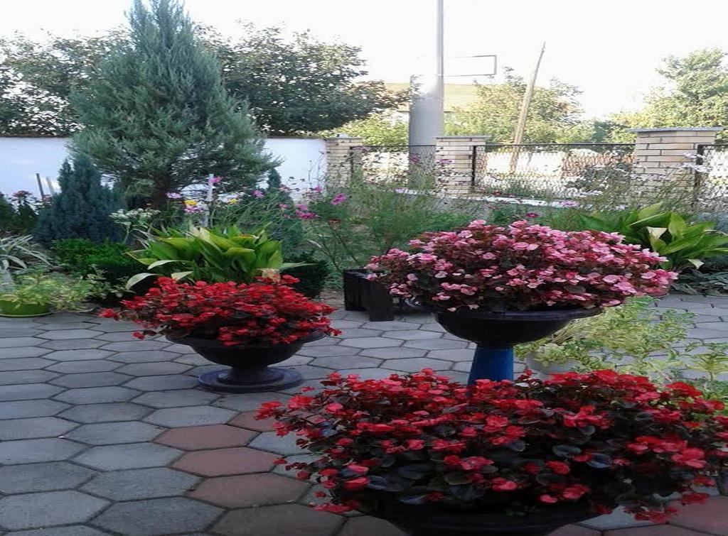 Guest House Dunavski Raj Kostol 外观 照片